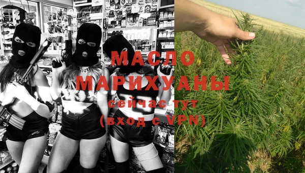 крисы Медногорск