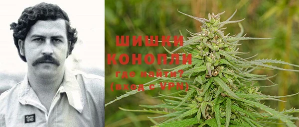 мдпв Мегион