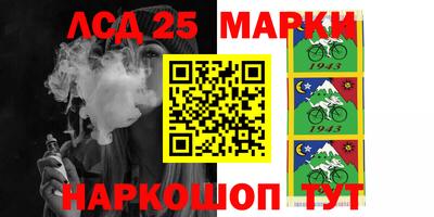 мяу мяу мука Аргун