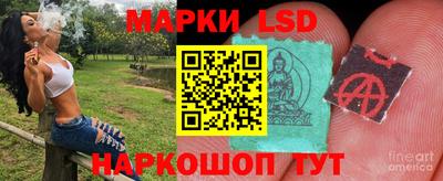 мяу мяу мука Аргун