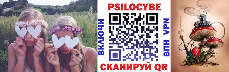 купить закладку  Маркс  Псилоцибиновые грибы мухоморы 
