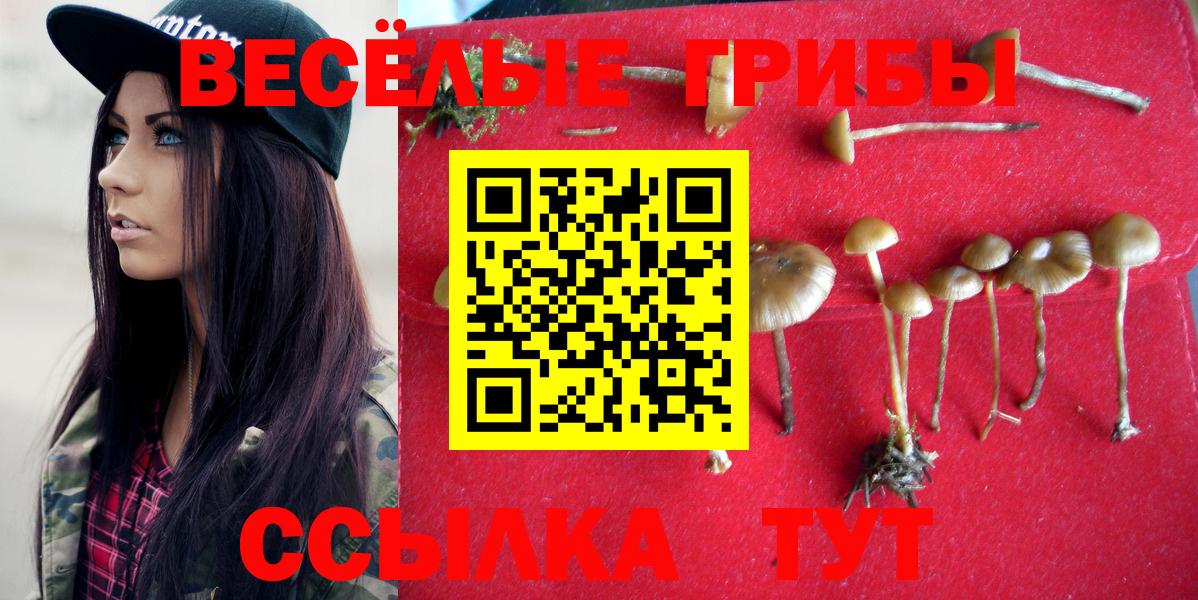 Маркс  Галлюциногенные грибы ЛСД  Псилоцибиновые грибы прущие грибы  Вход с VPN 