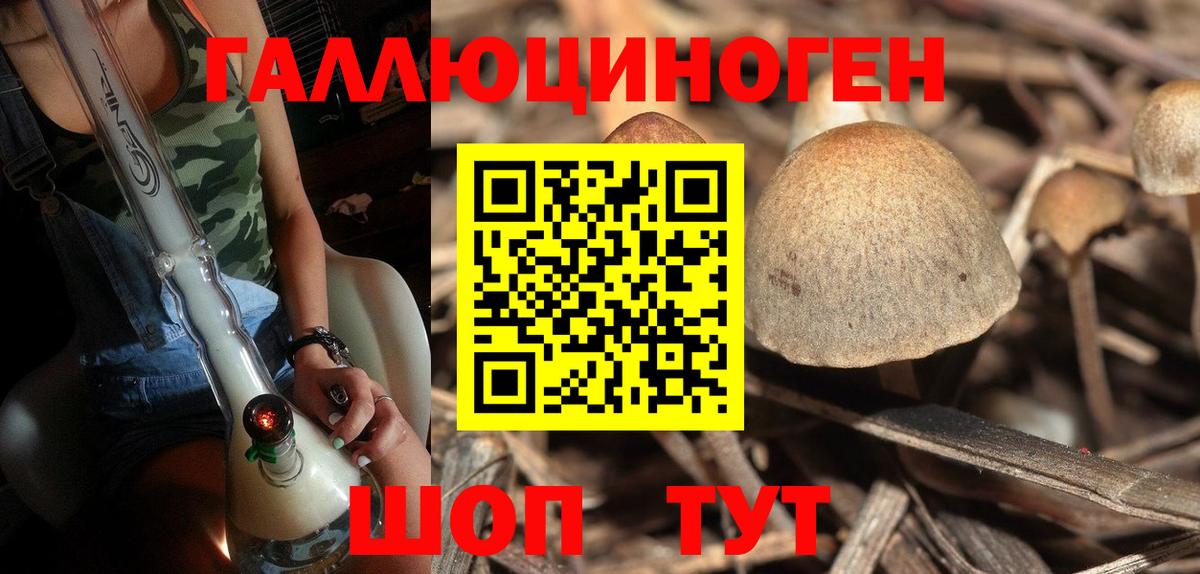 Галлюциногенные грибы GOLDEN TEACHER Маркс