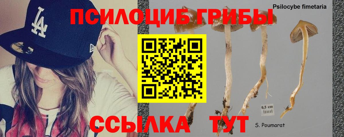Галлюциногенные грибы GOLDEN TEACHER  купить закладку  Маркс 